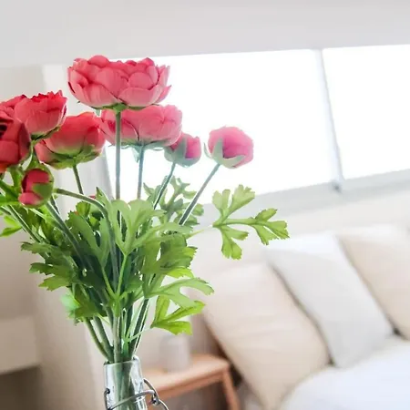 Апартаменты Le Duomo - Duplex Avec Vue Sur Le Dome De La Grave