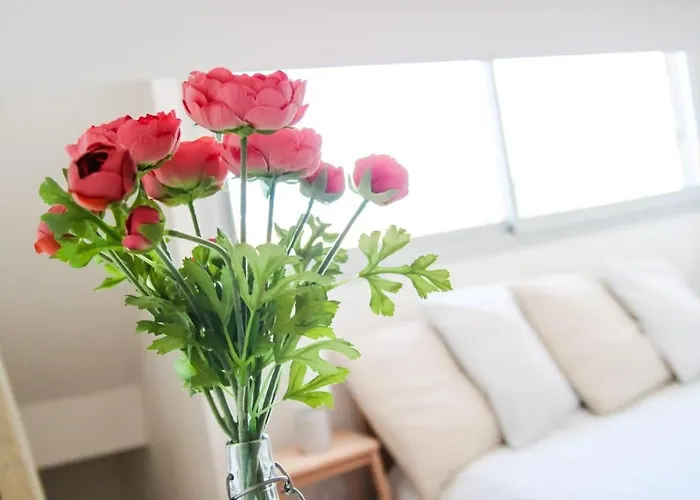 アパート Le Duomo - Duplex Avec Vue Sur Le Dome De La Grave